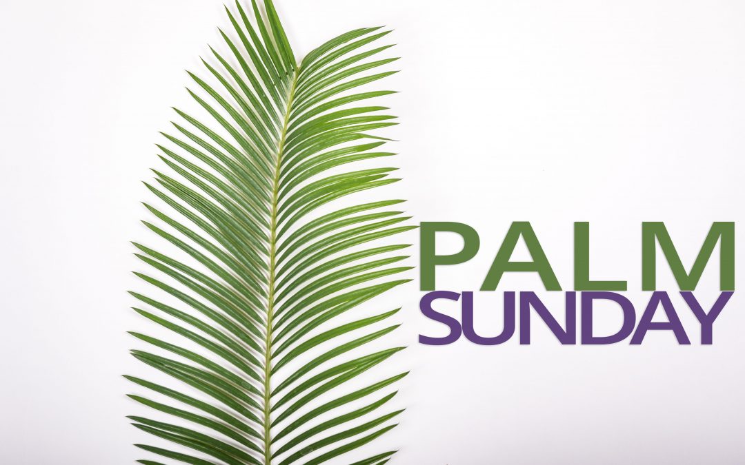 Palm Sunday