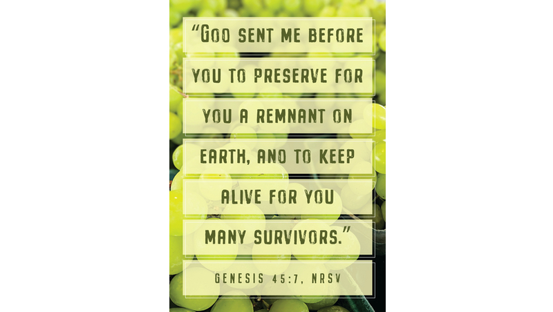 Sunday Morning – August 16