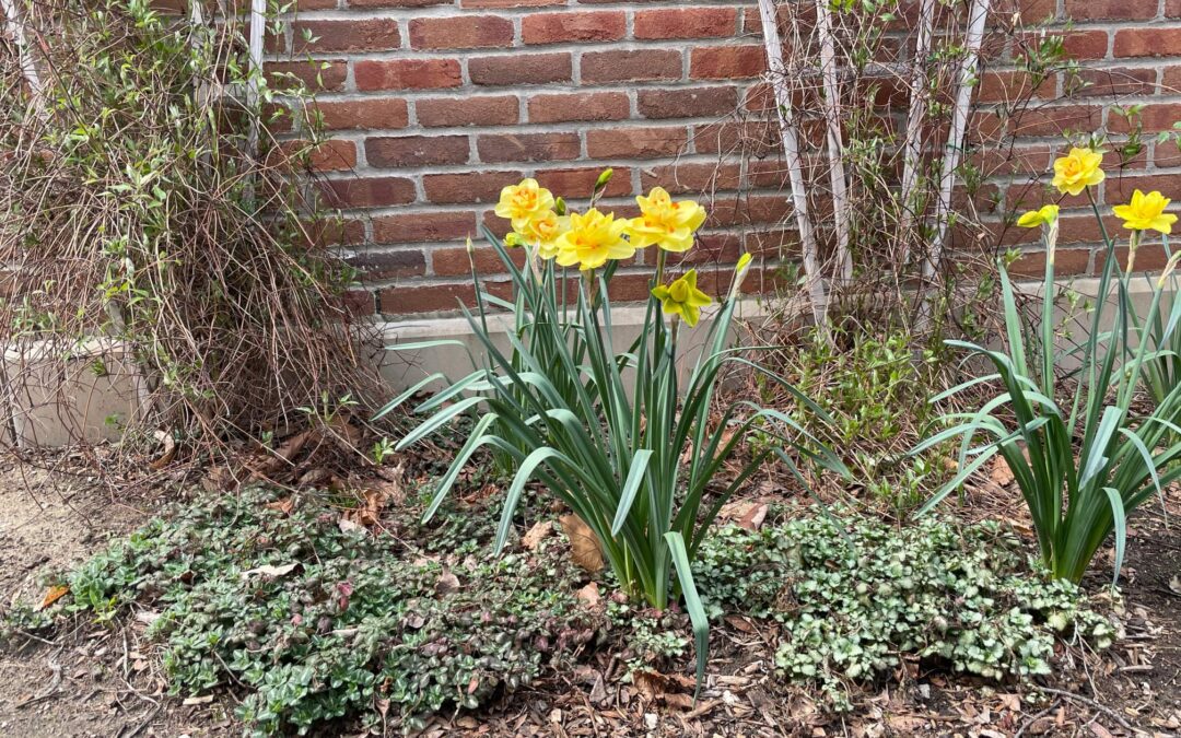 Spring is Here