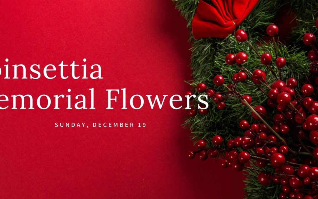 Poinsettia Memorial Flowers