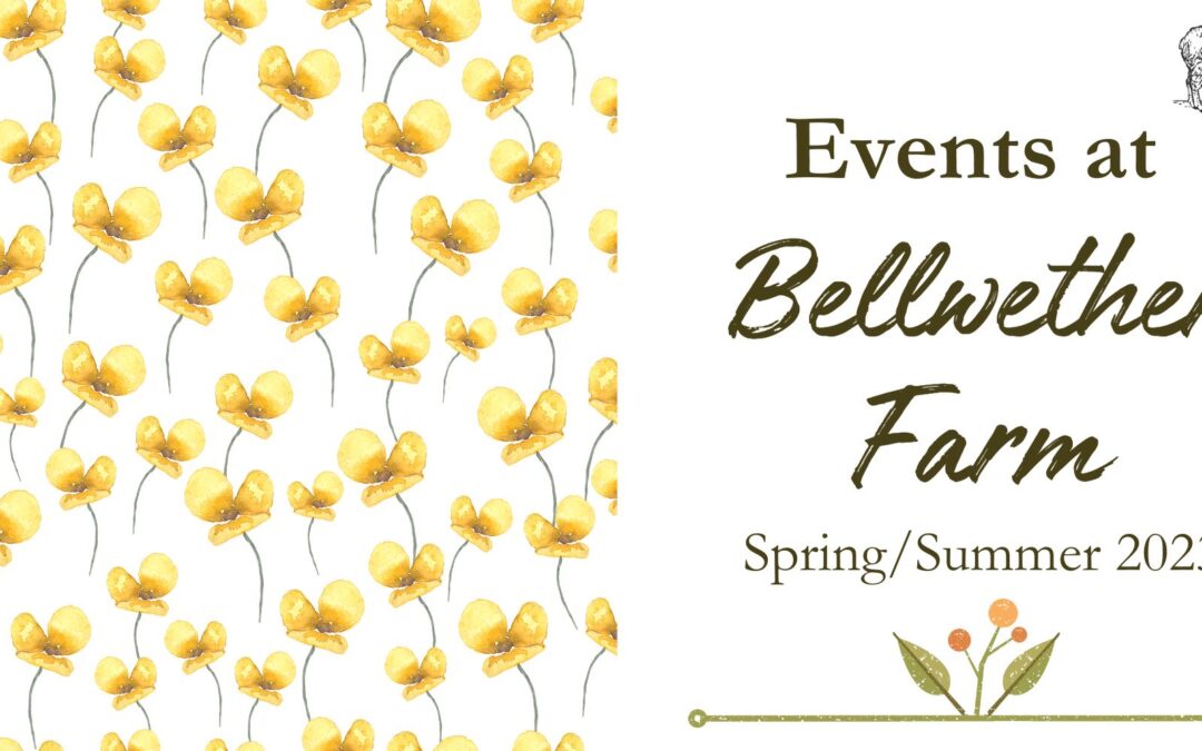 Upcoming Events at Bellwether Farm