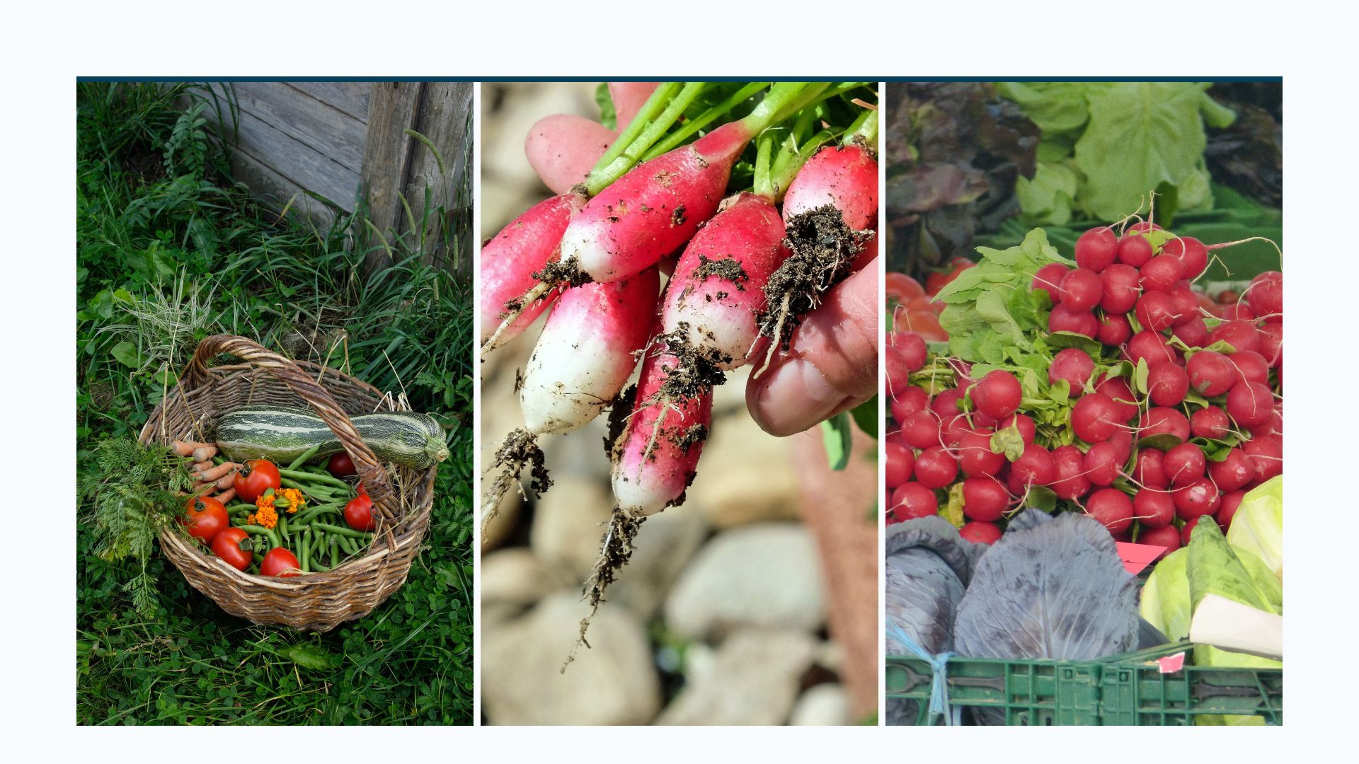 veggies a