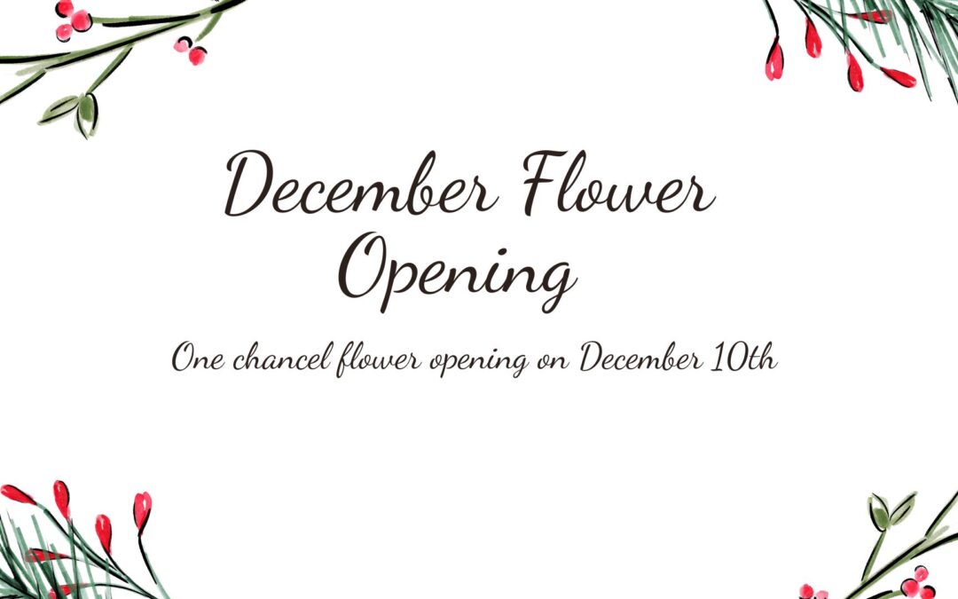 December Flower Openings
