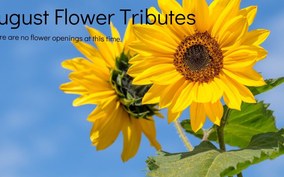 August Flower Tribute