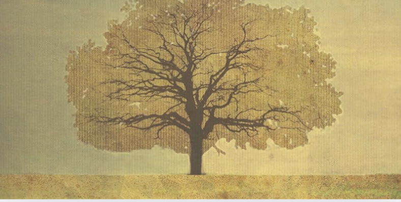 The Cross and the Lynching Tree
