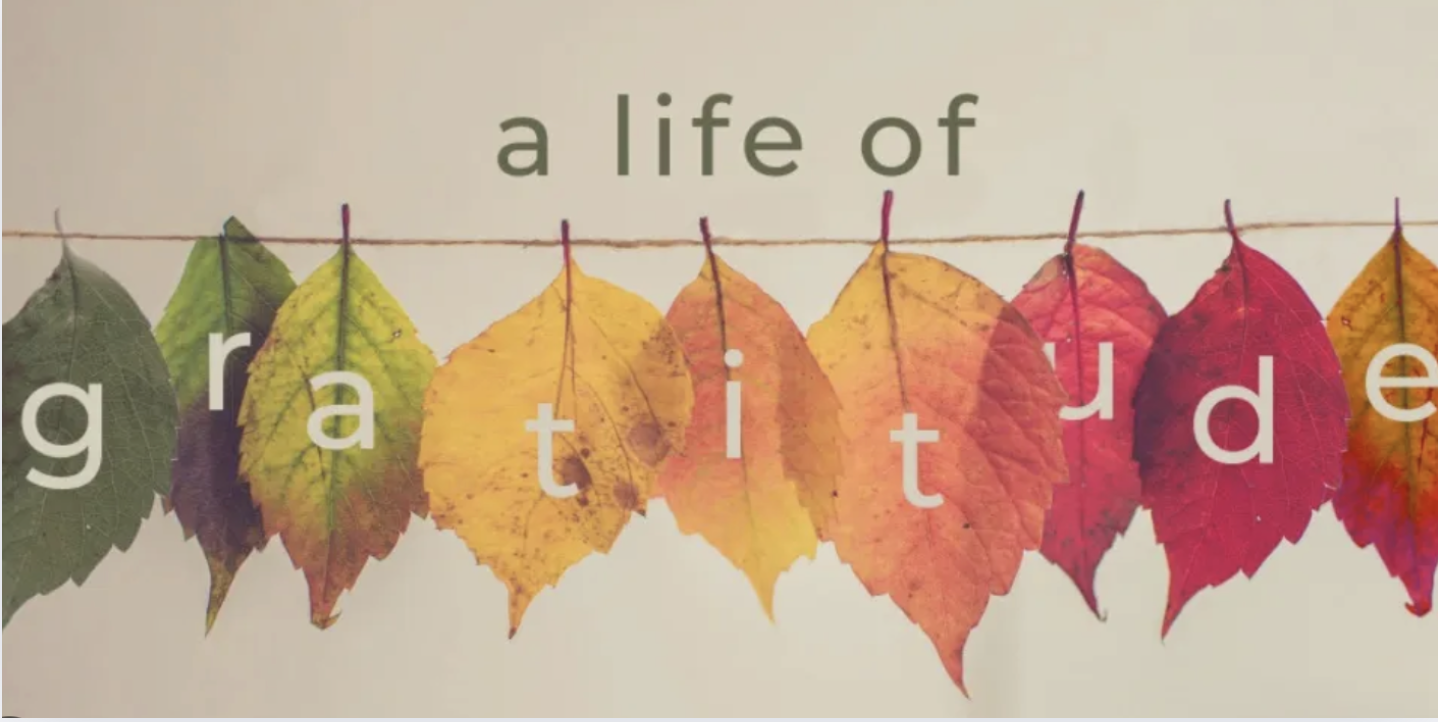 Screenshot 2025-11-14 at 12.06.18 PM