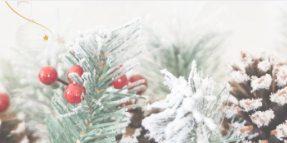 Advent and Christmas Advent