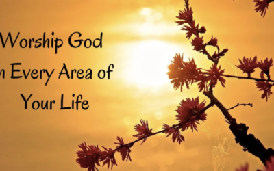 Pilgrim’s Mass, December 23, 2025