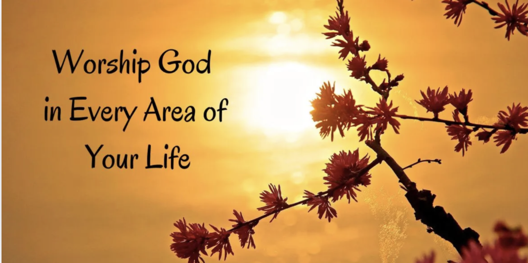 Pilgrim’s Mass, December 23, 2025