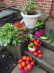 Eden's Bounty